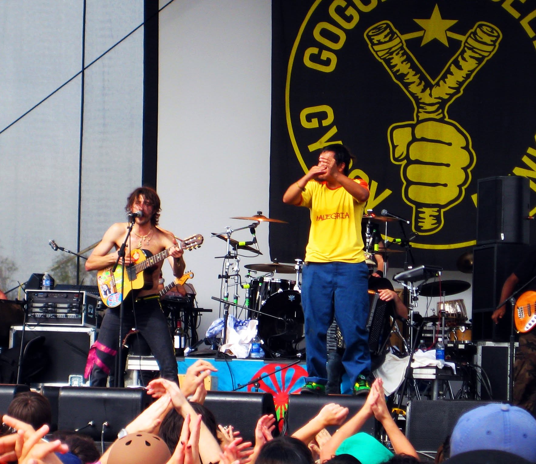 Gogol Bordello live, frame 3