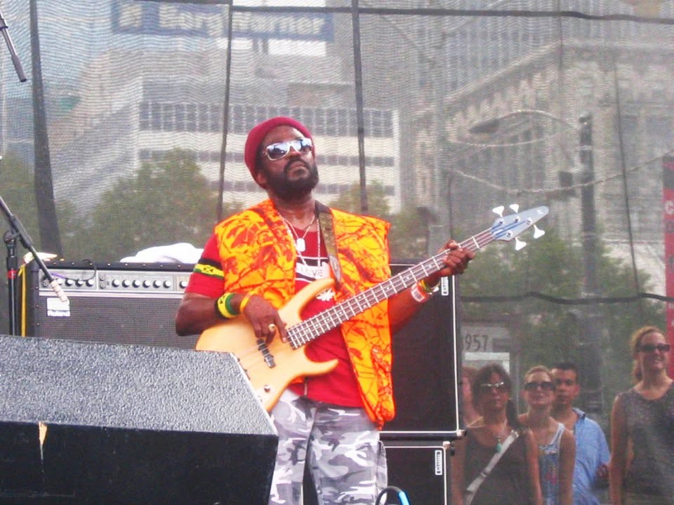 The Wailers live, frame 7